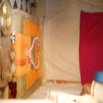 Vraj-Yatra-2014- (1500)